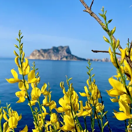 Vh Costablanca - Terraluz Villa